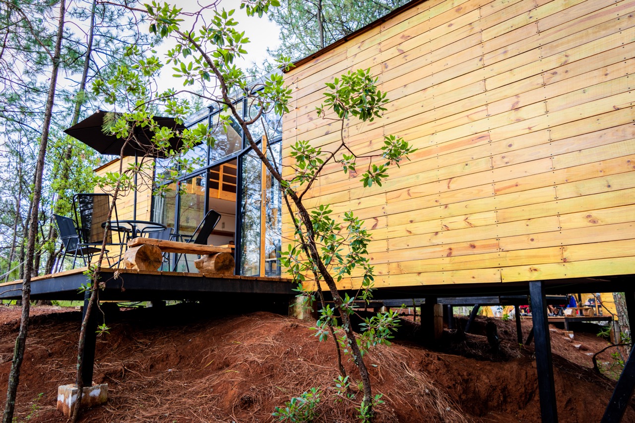 Glasshouse Diseño