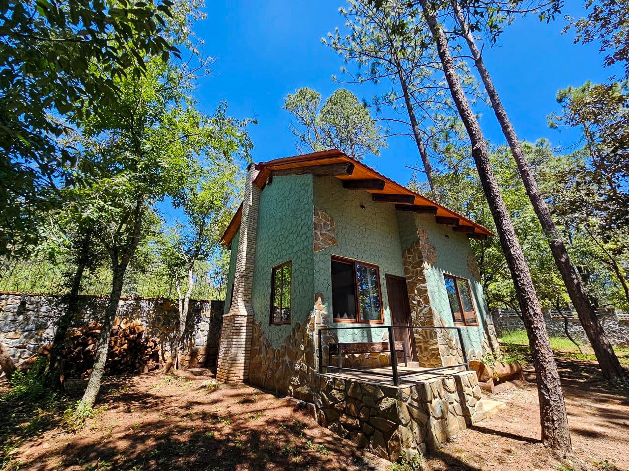 Casa del bosque